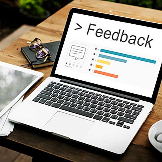 feedback comment survey